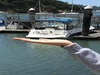 Bayliner 245 Sausalito California