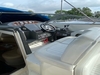 Bayliner 305 Charlestown Maryland