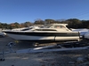 Bayliner Discovery 266 Brick New Jersey