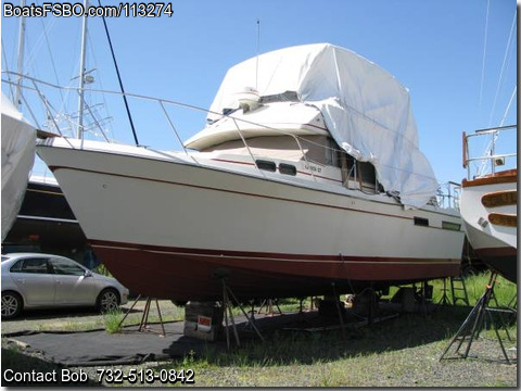 40'  1981 Bayliner BODEGA