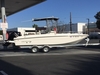 Bayliner Element F21 Los Angeles California