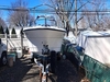 Bayliner Trophy Walkaround
