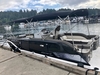 Bayliner Element XR7 Waxahachie Texas BoatsFSBOgo