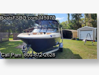 Bayliner V4 Bowrider