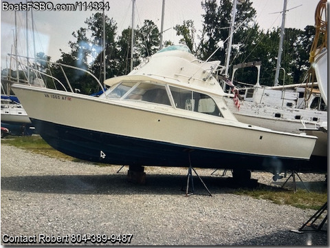 31'  1972 Bertram 31 Flybridge Cruiser