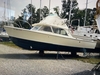 Bertram 31 Flybridge Cruiser