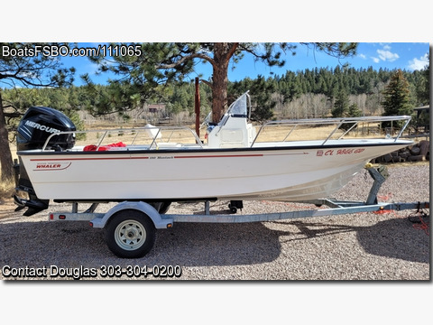 19'  2011 Boston Whaler 190 Montauk