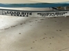 Boston Whaler Newport Montauk Margate City New Jersey BoatsFSBOgo