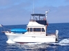 Californian 34 Trawler