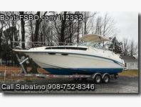 Celebrity 290 Cruiser