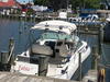 Celebrity 290 Cruiser Stevensville Maryland