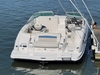 Chaparral 225 SSI Baldwin New York