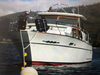 Chris Craft Constellation San Rafael Yacht Harbo California