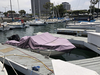 Glastron Open Bow Marina Del Rey California