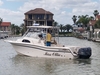 Grady White 300 Marlin