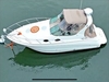 Larson Cabrio 290 Northport New York Larson Cabrio 290 Northport New York BoatsFSBOgo
