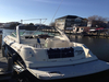 Rinker FV 290 East Brunswick   New Jersey