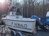 Robalo 2140 Walkaround Roanoke Virginia