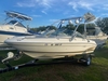 Sea Ray 190 Signature La plata Maryland