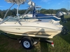 Sea Ray 190 Signature La plata Maryland