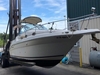 Sea Ray 270 Sundancer Alexander City Alabama