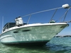 Sea Ray 340 Sundancer Fort Walton Beach Florida