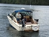 Sea Ray 260 Express Bellingham Washington