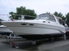 Sea Ray Sundancer 290 Sodus Point New York