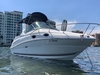 Sea Ray 240 Sundancer Sarasota Florida