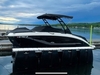 Sea Ray SDX 290