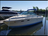 Sea Ray 255 Amberjack Orono  Minnesota