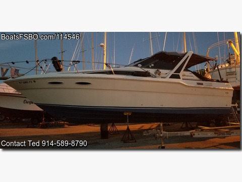 30'  1989 Sea Ray Sundancer 300