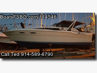 Sea Ray Sundancer 300