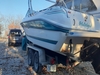 Sea Ray 240 Sundancer Stockton Missouri