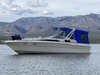 Sea Ray 300