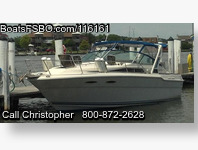 Sea Ray Sundancer