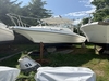 Sea Sport 26