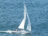 Sonar Onedesign Keel Boat Marblehead Massachusetts