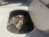 Starcraft Limited 2000 OB Fish Bradenton    Florida BoatsFSBOgo