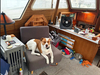 Tollycraft Convertible La Conner  Washington BoatsFSBOgo