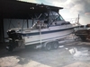 Wellcraft 250 Sportsman Leeville  Louisiana