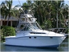 Wellcraft 330 Coastal