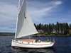 William Garden Family Cat Coeur d'Alene Lake Idaho BoatsFSBOgo
