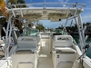 World Cat 295 DC Islamorada Florida